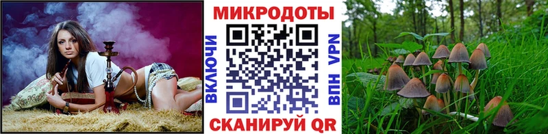 наркотики  Искитим  Галлюциногенные грибы Psilocybe 